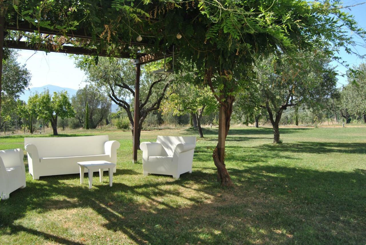 Corbezzolo Bed and Breakfast Vallo della Lucania Εξωτερικό φωτογραφία