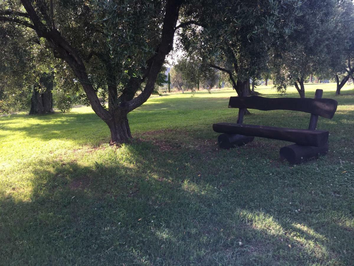 Corbezzolo Bed and Breakfast Vallo della Lucania Εξωτερικό φωτογραφία