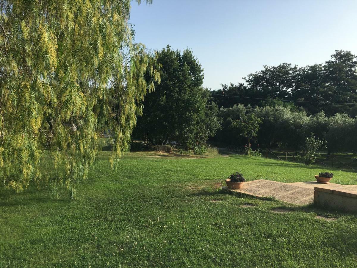 Corbezzolo Bed and Breakfast Vallo della Lucania Εξωτερικό φωτογραφία