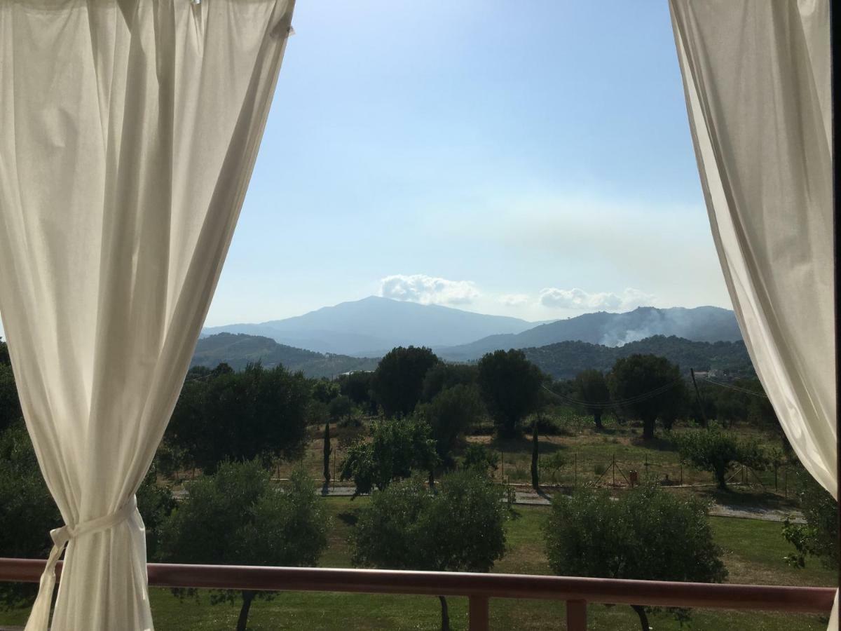 Corbezzolo Bed and Breakfast Vallo della Lucania Εξωτερικό φωτογραφία